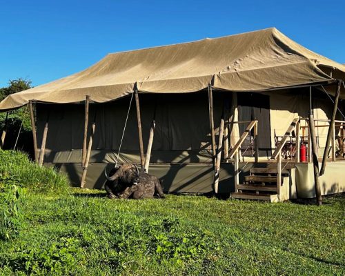 Ang'ata Ngorongoro Camp