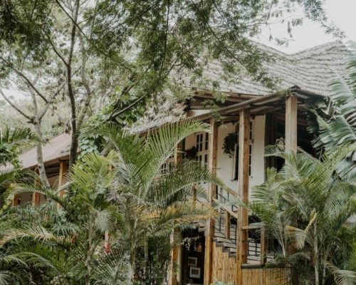 Eileen's Trees Inn Karatu