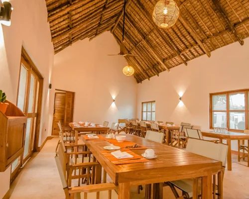 Ikumbi Safari Lodge
