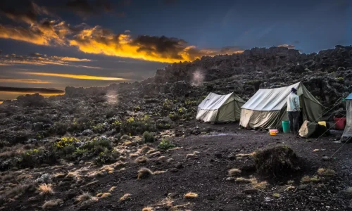 Tentes de cuisine et de restauration du Buffalo Camp