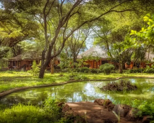 amboseli sopa lodge vue