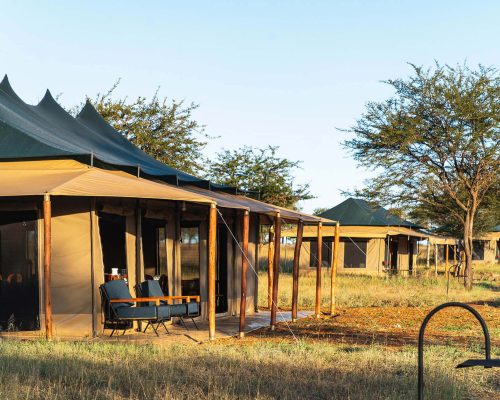 harmony-safari-camps