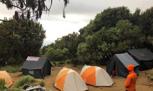 Camp de Machame