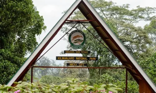 porte mweka
